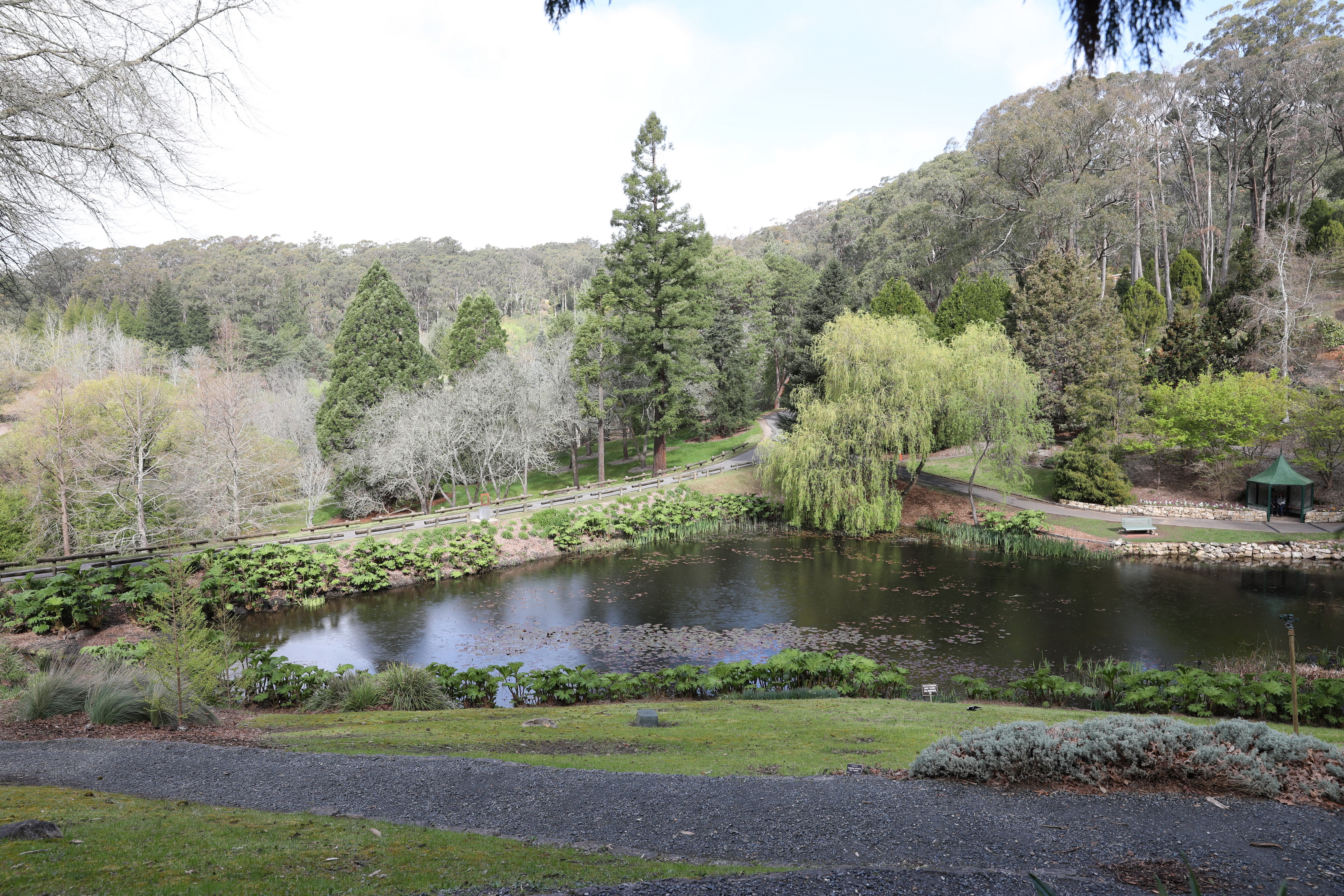 2019 09 21 14 56 59 Canon EOS 5D Mark IV 0005